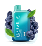 ELFBAR RAYA D1 DISPOSABLE POD DEVICE BLUEBERRY MINT 13000 PUFF